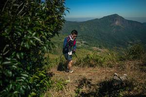 BIB: 
                            <button type="button" onclick="openModal(26594768)" class="btn btn-primary btn-sm float-right btn-popup" data-toggle="modal" data-target=".modal-high-quality">
                        <i class="fas fa-shopping-cart"></i> Add to Cart
                    </button>
                                            <button type="button" onclick="isThisMe(26594768, true)" class="btn btn-success btn-sm float-right btn-popup btn-isme hidden" data-toggle="tooltip" data-placement="bottom" title="นี่คือรูปของคุณใช่ไหม คลิกที่นี่เพื่อเอาเข้าอัลบั้ม">
                        <i class="fas fa-plus"></i> Add to album
                    </button>
                    <button type="button" onclick="isThisMe(26594768, false)" class="btn btn-warning btn-sm float-right btn-popup btn-isnotme hidden">
                        <i class="fas fa-ban"></i> Remove from album
                    </button>