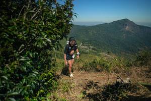 BIB: 
                            <button type="button" onclick="openModal(26594983)" class="btn btn-primary btn-sm float-right btn-popup" data-toggle="modal" data-target=".modal-high-quality">
                        <i class="fas fa-shopping-cart"></i> Add to Cart
                    </button>
                                            <button type="button" onclick="isThisMe(26594983, true)" class="btn btn-success btn-sm float-right btn-popup btn-isme hidden" data-toggle="tooltip" data-placement="bottom" title="นี่คือรูปของคุณใช่ไหม คลิกที่นี่เพื่อเอาเข้าอัลบั้ม">
                        <i class="fas fa-plus"></i> Add to album
                    </button>
                    <button type="button" onclick="isThisMe(26594983, false)" class="btn btn-warning btn-sm float-right btn-popup btn-isnotme hidden">
                        <i class="fas fa-ban"></i> Remove from album
                    </button>