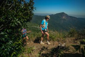 BIB: 
                            <button type="button" onclick="openModal(26594947)" class="btn btn-primary btn-sm float-right btn-popup" data-toggle="modal" data-target=".modal-high-quality">
                        <i class="fas fa-shopping-cart"></i> Add to Cart
                    </button>
                                            <button type="button" onclick="isThisMe(26594947, true)" class="btn btn-success btn-sm float-right btn-popup btn-isme hidden" data-toggle="tooltip" data-placement="bottom" title="นี่คือรูปของคุณใช่ไหม คลิกที่นี่เพื่อเอาเข้าอัลบั้ม">
                        <i class="fas fa-plus"></i> Add to album
                    </button>
                    <button type="button" onclick="isThisMe(26594947, false)" class="btn btn-warning btn-sm float-right btn-popup btn-isnotme hidden">
                        <i class="fas fa-ban"></i> Remove from album
                    </button>