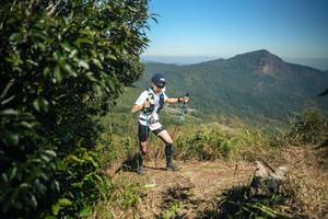 BIB: 
                            <button type="button" onclick="openModal(26594206)" class="btn btn-primary btn-sm float-right btn-popup" data-toggle="modal" data-target=".modal-high-quality">
                        <i class="fas fa-shopping-cart"></i> Add to Cart
                    </button>
                                            <button type="button" onclick="isThisMe(26594206, true)" class="btn btn-success btn-sm float-right btn-popup btn-isme hidden" data-toggle="tooltip" data-placement="bottom" title="นี่คือรูปของคุณใช่ไหม คลิกที่นี่เพื่อเอาเข้าอัลบั้ม">
                        <i class="fas fa-plus"></i> Add to album
                    </button>
                    <button type="button" onclick="isThisMe(26594206, false)" class="btn btn-warning btn-sm float-right btn-popup btn-isnotme hidden">
                        <i class="fas fa-ban"></i> Remove from album
                    </button>