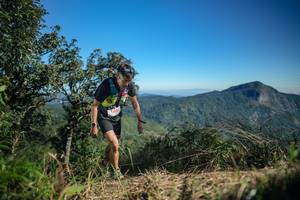 BIB: 
                            <button type="button" onclick="openModal(26588908)" class="btn btn-primary btn-sm float-right btn-popup" data-toggle="modal" data-target=".modal-high-quality">
                        <i class="fas fa-shopping-cart"></i> Add to Cart
                    </button>
                                            <button type="button" onclick="isThisMe(26588908, true)" class="btn btn-success btn-sm float-right btn-popup btn-isme hidden" data-toggle="tooltip" data-placement="bottom" title="นี่คือรูปของคุณใช่ไหม คลิกที่นี่เพื่อเอาเข้าอัลบั้ม">
                        <i class="fas fa-plus"></i> Add to album
                    </button>
                    <button type="button" onclick="isThisMe(26588908, false)" class="btn btn-warning btn-sm float-right btn-popup btn-isnotme hidden">
                        <i class="fas fa-ban"></i> Remove from album
                    </button>