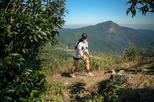 BIB: 
                            <button type="button" onclick="openModal(26594188)" class="btn btn-primary btn-sm float-right btn-popup" data-toggle="modal" data-target=".modal-high-quality">
                        <i class="fas fa-shopping-cart"></i> Add to Cart
                    </button>
                                            <button type="button" onclick="isThisMe(26594188, true)" class="btn btn-success btn-sm float-right btn-popup btn-isme hidden" data-toggle="tooltip" data-placement="bottom" title="นี่คือรูปของคุณใช่ไหม คลิกที่นี่เพื่อเอาเข้าอัลบั้ม">
                        <i class="fas fa-plus"></i> Add to album
                    </button>
                    <button type="button" onclick="isThisMe(26594188, false)" class="btn btn-warning btn-sm float-right btn-popup btn-isnotme hidden">
                        <i class="fas fa-ban"></i> Remove from album
                    </button>