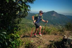 BIB: 
                            <button type="button" onclick="openModal(26592909)" class="btn btn-primary btn-sm float-right btn-popup" data-toggle="modal" data-target=".modal-high-quality">
                        <i class="fas fa-shopping-cart"></i> Add to Cart
                    </button>
                                            <button type="button" onclick="isThisMe(26592909, true)" class="btn btn-success btn-sm float-right btn-popup btn-isme hidden" data-toggle="tooltip" data-placement="bottom" title="นี่คือรูปของคุณใช่ไหม คลิกที่นี่เพื่อเอาเข้าอัลบั้ม">
                        <i class="fas fa-plus"></i> Add to album
                    </button>
                    <button type="button" onclick="isThisMe(26592909, false)" class="btn btn-warning btn-sm float-right btn-popup btn-isnotme hidden">
                        <i class="fas fa-ban"></i> Remove from album
                    </button>