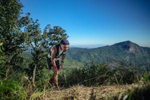 BIB: 
                            <button type="button" onclick="openModal(26588903)" class="btn btn-primary btn-sm float-right btn-popup" data-toggle="modal" data-target=".modal-high-quality">
                        <i class="fas fa-shopping-cart"></i> Add to Cart
                    </button>
                                            <button type="button" onclick="isThisMe(26588903, true)" class="btn btn-success btn-sm float-right btn-popup btn-isme hidden" data-toggle="tooltip" data-placement="bottom" title="นี่คือรูปของคุณใช่ไหม คลิกที่นี่เพื่อเอาเข้าอัลบั้ม">
                        <i class="fas fa-plus"></i> Add to album
                    </button>
                    <button type="button" onclick="isThisMe(26588903, false)" class="btn btn-warning btn-sm float-right btn-popup btn-isnotme hidden">
                        <i class="fas fa-ban"></i> Remove from album
                    </button>