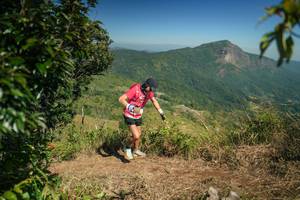 BIB: 
                            <button type="button" onclick="openModal(26593520)" class="btn btn-primary btn-sm float-right btn-popup" data-toggle="modal" data-target=".modal-high-quality">
                        <i class="fas fa-shopping-cart"></i> Add to Cart
                    </button>
                                            <button type="button" onclick="isThisMe(26593520, true)" class="btn btn-success btn-sm float-right btn-popup btn-isme hidden" data-toggle="tooltip" data-placement="bottom" title="นี่คือรูปของคุณใช่ไหม คลิกที่นี่เพื่อเอาเข้าอัลบั้ม">
                        <i class="fas fa-plus"></i> Add to album
                    </button>
                    <button type="button" onclick="isThisMe(26593520, false)" class="btn btn-warning btn-sm float-right btn-popup btn-isnotme hidden">
                        <i class="fas fa-ban"></i> Remove from album
                    </button>