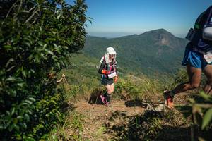 BIB: 
                            <button type="button" onclick="openModal(26595249)" class="btn btn-primary btn-sm float-right btn-popup" data-toggle="modal" data-target=".modal-high-quality">
                        <i class="fas fa-shopping-cart"></i> Add to Cart
                    </button>
                                            <button type="button" onclick="isThisMe(26595249, true)" class="btn btn-success btn-sm float-right btn-popup btn-isme hidden" data-toggle="tooltip" data-placement="bottom" title="นี่คือรูปของคุณใช่ไหม คลิกที่นี่เพื่อเอาเข้าอัลบั้ม">
                        <i class="fas fa-plus"></i> Add to album
                    </button>
                    <button type="button" onclick="isThisMe(26595249, false)" class="btn btn-warning btn-sm float-right btn-popup btn-isnotme hidden">
                        <i class="fas fa-ban"></i> Remove from album
                    </button>