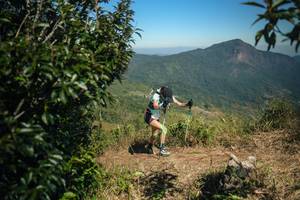 BIB: 
                            <button type="button" onclick="openModal(26594059)" class="btn btn-primary btn-sm float-right btn-popup" data-toggle="modal" data-target=".modal-high-quality">
                        <i class="fas fa-shopping-cart"></i> Add to Cart
                    </button>
                                            <button type="button" onclick="isThisMe(26594059, true)" class="btn btn-success btn-sm float-right btn-popup btn-isme hidden" data-toggle="tooltip" data-placement="bottom" title="นี่คือรูปของคุณใช่ไหม คลิกที่นี่เพื่อเอาเข้าอัลบั้ม">
                        <i class="fas fa-plus"></i> Add to album
                    </button>
                    <button type="button" onclick="isThisMe(26594059, false)" class="btn btn-warning btn-sm float-right btn-popup btn-isnotme hidden">
                        <i class="fas fa-ban"></i> Remove from album
                    </button>