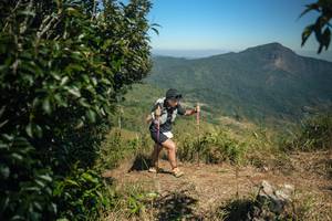 BIB: 
                            <button type="button" onclick="openModal(26593995)" class="btn btn-primary btn-sm float-right btn-popup" data-toggle="modal" data-target=".modal-high-quality">
                        <i class="fas fa-shopping-cart"></i> Add to Cart
                    </button>
                                            <button type="button" onclick="isThisMe(26593995, true)" class="btn btn-success btn-sm float-right btn-popup btn-isme hidden" data-toggle="tooltip" data-placement="bottom" title="นี่คือรูปของคุณใช่ไหม คลิกที่นี่เพื่อเอาเข้าอัลบั้ม">
                        <i class="fas fa-plus"></i> Add to album
                    </button>
                    <button type="button" onclick="isThisMe(26593995, false)" class="btn btn-warning btn-sm float-right btn-popup btn-isnotme hidden">
                        <i class="fas fa-ban"></i> Remove from album
                    </button>