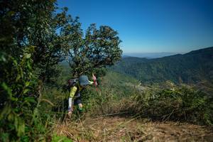 BIB: 
                            <button type="button" onclick="openModal(26589576)" class="btn btn-primary btn-sm float-right btn-popup" data-toggle="modal" data-target=".modal-high-quality">
                        <i class="fas fa-shopping-cart"></i> Add to Cart
                    </button>
                                            <button type="button" onclick="isThisMe(26589576, true)" class="btn btn-success btn-sm float-right btn-popup btn-isme hidden" data-toggle="tooltip" data-placement="bottom" title="นี่คือรูปของคุณใช่ไหม คลิกที่นี่เพื่อเอาเข้าอัลบั้ม">
                        <i class="fas fa-plus"></i> Add to album
                    </button>
                    <button type="button" onclick="isThisMe(26589576, false)" class="btn btn-warning btn-sm float-right btn-popup btn-isnotme hidden">
                        <i class="fas fa-ban"></i> Remove from album
                    </button>