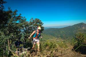 BIB: 
                            <button type="button" onclick="openModal(26597799)" class="btn btn-primary btn-sm float-right btn-popup" data-toggle="modal" data-target=".modal-high-quality">
                        <i class="fas fa-shopping-cart"></i> Add to Cart
                    </button>
                                            <button type="button" onclick="isThisMe(26597799, true)" class="btn btn-success btn-sm float-right btn-popup btn-isme hidden" data-toggle="tooltip" data-placement="bottom" title="นี่คือรูปของคุณใช่ไหม คลิกที่นี่เพื่อเอาเข้าอัลบั้ม">
                        <i class="fas fa-plus"></i> Add to album
                    </button>
                    <button type="button" onclick="isThisMe(26597799, false)" class="btn btn-warning btn-sm float-right btn-popup btn-isnotme hidden">
                        <i class="fas fa-ban"></i> Remove from album
                    </button>