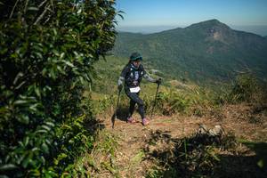 BIB: 
                            <button type="button" onclick="openModal(26595204)" class="btn btn-primary btn-sm float-right btn-popup" data-toggle="modal" data-target=".modal-high-quality">
                        <i class="fas fa-shopping-cart"></i> Add to Cart
                    </button>
                                            <button type="button" onclick="isThisMe(26595204, true)" class="btn btn-success btn-sm float-right btn-popup btn-isme hidden" data-toggle="tooltip" data-placement="bottom" title="นี่คือรูปของคุณใช่ไหม คลิกที่นี่เพื่อเอาเข้าอัลบั้ม">
                        <i class="fas fa-plus"></i> Add to album
                    </button>
                    <button type="button" onclick="isThisMe(26595204, false)" class="btn btn-warning btn-sm float-right btn-popup btn-isnotme hidden">
                        <i class="fas fa-ban"></i> Remove from album
                    </button>