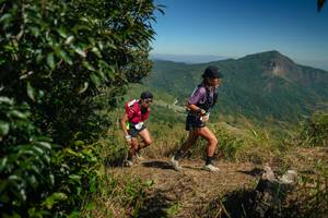 BIB: 
                            <button type="button" onclick="openModal(26593140)" class="btn btn-primary btn-sm float-right btn-popup" data-toggle="modal" data-target=".modal-high-quality">
                        <i class="fas fa-shopping-cart"></i> Add to Cart
                    </button>
                                            <button type="button" onclick="isThisMe(26593140, true)" class="btn btn-success btn-sm float-right btn-popup btn-isme hidden" data-toggle="tooltip" data-placement="bottom" title="นี่คือรูปของคุณใช่ไหม คลิกที่นี่เพื่อเอาเข้าอัลบั้ม">
                        <i class="fas fa-plus"></i> Add to album
                    </button>
                    <button type="button" onclick="isThisMe(26593140, false)" class="btn btn-warning btn-sm float-right btn-popup btn-isnotme hidden">
                        <i class="fas fa-ban"></i> Remove from album
                    </button>