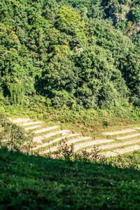 BIB: 
                            <button type="button" onclick="openModal(26702266)" class="btn btn-primary btn-sm float-right btn-popup" data-toggle="modal" data-target=".modal-high-quality">
                        <i class="fas fa-shopping-cart"></i> Add to Cart
                    </button>
                                            <button type="button" onclick="isThisMe(26702266, true)" class="btn btn-success btn-sm float-right btn-popup btn-isme hidden" data-toggle="tooltip" data-placement="bottom" title="นี่คือรูปของคุณใช่ไหม คลิกที่นี่เพื่อเอาเข้าอัลบั้ม">
                        <i class="fas fa-plus"></i> Add to album
                    </button>
                    <button type="button" onclick="isThisMe(26702266, false)" class="btn btn-warning btn-sm float-right btn-popup btn-isnotme hidden">
                        <i class="fas fa-ban"></i> Remove from album
                    </button>