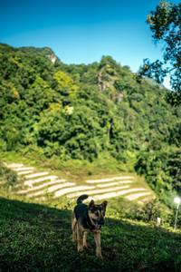 BIB: 
                            <button type="button" onclick="openModal(26705596)" class="btn btn-primary btn-sm float-right btn-popup" data-toggle="modal" data-target=".modal-high-quality">
                        <i class="fas fa-shopping-cart"></i> Add to Cart
                    </button>
                                            <button type="button" onclick="isThisMe(26705596, true)" class="btn btn-success btn-sm float-right btn-popup btn-isme hidden" data-toggle="tooltip" data-placement="bottom" title="นี่คือรูปของคุณใช่ไหม คลิกที่นี่เพื่อเอาเข้าอัลบั้ม">
                        <i class="fas fa-plus"></i> Add to album
                    </button>
                    <button type="button" onclick="isThisMe(26705596, false)" class="btn btn-warning btn-sm float-right btn-popup btn-isnotme hidden">
                        <i class="fas fa-ban"></i> Remove from album
                    </button>