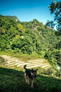 BIB: 
                            <button type="button" onclick="openModal(26705595)" class="btn btn-primary btn-sm float-right btn-popup" data-toggle="modal" data-target=".modal-high-quality">
                        <i class="fas fa-shopping-cart"></i> Add to Cart
                    </button>
                                            <button type="button" onclick="isThisMe(26705595, true)" class="btn btn-success btn-sm float-right btn-popup btn-isme hidden" data-toggle="tooltip" data-placement="bottom" title="นี่คือรูปของคุณใช่ไหม คลิกที่นี่เพื่อเอาเข้าอัลบั้ม">
                        <i class="fas fa-plus"></i> Add to album
                    </button>
                    <button type="button" onclick="isThisMe(26705595, false)" class="btn btn-warning btn-sm float-right btn-popup btn-isnotme hidden">
                        <i class="fas fa-ban"></i> Remove from album
                    </button>