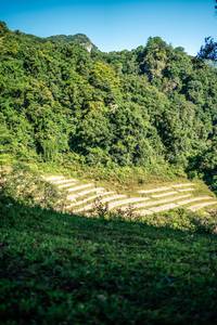 BIB: 
                            <button type="button" onclick="openModal(26702271)" class="btn btn-primary btn-sm float-right btn-popup" data-toggle="modal" data-target=".modal-high-quality">
                        <i class="fas fa-shopping-cart"></i> Add to Cart
                    </button>
                                            <button type="button" onclick="isThisMe(26702271, true)" class="btn btn-success btn-sm float-right btn-popup btn-isme hidden" data-toggle="tooltip" data-placement="bottom" title="นี่คือรูปของคุณใช่ไหม คลิกที่นี่เพื่อเอาเข้าอัลบั้ม">
                        <i class="fas fa-plus"></i> Add to album
                    </button>
                    <button type="button" onclick="isThisMe(26702271, false)" class="btn btn-warning btn-sm float-right btn-popup btn-isnotme hidden">
                        <i class="fas fa-ban"></i> Remove from album
                    </button>