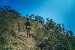 BIB: 
                            <button type="button" onclick="openModal(26618735)" class="btn btn-primary btn-sm float-right btn-popup" data-toggle="modal" data-target=".modal-high-quality">
                        <i class="fas fa-shopping-cart"></i> Add to Cart
                    </button>
                                            <button type="button" onclick="isThisMe(26618735, true)" class="btn btn-success btn-sm float-right btn-popup btn-isme hidden" data-toggle="tooltip" data-placement="bottom" title="นี่คือรูปของคุณใช่ไหม คลิกที่นี่เพื่อเอาเข้าอัลบั้ม">
                        <i class="fas fa-plus"></i> Add to album
                    </button>
                    <button type="button" onclick="isThisMe(26618735, false)" class="btn btn-warning btn-sm float-right btn-popup btn-isnotme hidden">
                        <i class="fas fa-ban"></i> Remove from album
                    </button>