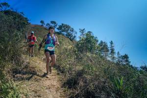 BIB: 
                            <button type="button" onclick="openModal(26616039)" class="btn btn-primary btn-sm float-right btn-popup" data-toggle="modal" data-target=".modal-high-quality">
                        <i class="fas fa-shopping-cart"></i> Add to Cart
                    </button>
                                            <button type="button" onclick="isThisMe(26616039, true)" class="btn btn-success btn-sm float-right btn-popup btn-isme hidden" data-toggle="tooltip" data-placement="bottom" title="นี่คือรูปของคุณใช่ไหม คลิกที่นี่เพื่อเอาเข้าอัลบั้ม">
                        <i class="fas fa-plus"></i> Add to album
                    </button>
                    <button type="button" onclick="isThisMe(26616039, false)" class="btn btn-warning btn-sm float-right btn-popup btn-isnotme hidden">
                        <i class="fas fa-ban"></i> Remove from album
                    </button>