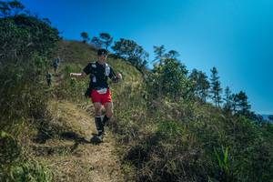 BIB: 
                            <button type="button" onclick="openModal(26617642)" class="btn btn-primary btn-sm float-right btn-popup" data-toggle="modal" data-target=".modal-high-quality">
                        <i class="fas fa-shopping-cart"></i> Add to Cart
                    </button>
                                            <button type="button" onclick="isThisMe(26617642, true)" class="btn btn-success btn-sm float-right btn-popup btn-isme hidden" data-toggle="tooltip" data-placement="bottom" title="นี่คือรูปของคุณใช่ไหม คลิกที่นี่เพื่อเอาเข้าอัลบั้ม">
                        <i class="fas fa-plus"></i> Add to album
                    </button>
                    <button type="button" onclick="isThisMe(26617642, false)" class="btn btn-warning btn-sm float-right btn-popup btn-isnotme hidden">
                        <i class="fas fa-ban"></i> Remove from album
                    </button>