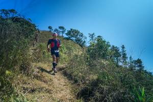 BIB: 
                            <button type="button" onclick="openModal(26617161)" class="btn btn-primary btn-sm float-right btn-popup" data-toggle="modal" data-target=".modal-high-quality">
                        <i class="fas fa-shopping-cart"></i> Add to Cart
                    </button>
                                            <button type="button" onclick="isThisMe(26617161, true)" class="btn btn-success btn-sm float-right btn-popup btn-isme hidden" data-toggle="tooltip" data-placement="bottom" title="นี่คือรูปของคุณใช่ไหม คลิกที่นี่เพื่อเอาเข้าอัลบั้ม">
                        <i class="fas fa-plus"></i> Add to album
                    </button>
                    <button type="button" onclick="isThisMe(26617161, false)" class="btn btn-warning btn-sm float-right btn-popup btn-isnotme hidden">
                        <i class="fas fa-ban"></i> Remove from album
                    </button>