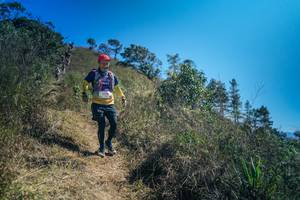 BIB: 
                            <button type="button" onclick="openModal(26614376)" class="btn btn-primary btn-sm float-right btn-popup" data-toggle="modal" data-target=".modal-high-quality">
                        <i class="fas fa-shopping-cart"></i> Add to Cart
                    </button>
                                            <button type="button" onclick="isThisMe(26614376, true)" class="btn btn-success btn-sm float-right btn-popup btn-isme hidden" data-toggle="tooltip" data-placement="bottom" title="นี่คือรูปของคุณใช่ไหม คลิกที่นี่เพื่อเอาเข้าอัลบั้ม">
                        <i class="fas fa-plus"></i> Add to album
                    </button>
                    <button type="button" onclick="isThisMe(26614376, false)" class="btn btn-warning btn-sm float-right btn-popup btn-isnotme hidden">
                        <i class="fas fa-ban"></i> Remove from album
                    </button>