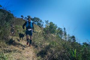 BIB: 
                            <button type="button" onclick="openModal(26616792)" class="btn btn-primary btn-sm float-right btn-popup" data-toggle="modal" data-target=".modal-high-quality">
                        <i class="fas fa-shopping-cart"></i> Add to Cart
                    </button>
                                            <button type="button" onclick="isThisMe(26616792, true)" class="btn btn-success btn-sm float-right btn-popup btn-isme hidden" data-toggle="tooltip" data-placement="bottom" title="นี่คือรูปของคุณใช่ไหม คลิกที่นี่เพื่อเอาเข้าอัลบั้ม">
                        <i class="fas fa-plus"></i> Add to album
                    </button>
                    <button type="button" onclick="isThisMe(26616792, false)" class="btn btn-warning btn-sm float-right btn-popup btn-isnotme hidden">
                        <i class="fas fa-ban"></i> Remove from album
                    </button>