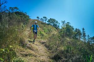 BIB: 
                            <button type="button" onclick="openModal(26620668)" class="btn btn-primary btn-sm float-right btn-popup" data-toggle="modal" data-target=".modal-high-quality">
                        <i class="fas fa-shopping-cart"></i> Add to Cart
                    </button>
                                            <button type="button" onclick="isThisMe(26620668, true)" class="btn btn-success btn-sm float-right btn-popup btn-isme hidden" data-toggle="tooltip" data-placement="bottom" title="นี่คือรูปของคุณใช่ไหม คลิกที่นี่เพื่อเอาเข้าอัลบั้ม">
                        <i class="fas fa-plus"></i> Add to album
                    </button>
                    <button type="button" onclick="isThisMe(26620668, false)" class="btn btn-warning btn-sm float-right btn-popup btn-isnotme hidden">
                        <i class="fas fa-ban"></i> Remove from album
                    </button>