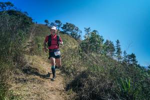 BIB: 
                            <button type="button" onclick="openModal(26614415)" class="btn btn-primary btn-sm float-right btn-popup" data-toggle="modal" data-target=".modal-high-quality">
                        <i class="fas fa-shopping-cart"></i> Add to Cart
                    </button>
                                            <button type="button" onclick="isThisMe(26614415, true)" class="btn btn-success btn-sm float-right btn-popup btn-isme hidden" data-toggle="tooltip" data-placement="bottom" title="นี่คือรูปของคุณใช่ไหม คลิกที่นี่เพื่อเอาเข้าอัลบั้ม">
                        <i class="fas fa-plus"></i> Add to album
                    </button>
                    <button type="button" onclick="isThisMe(26614415, false)" class="btn btn-warning btn-sm float-right btn-popup btn-isnotme hidden">
                        <i class="fas fa-ban"></i> Remove from album
                    </button>