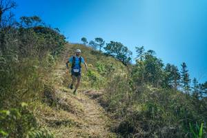 BIB: 
                            <button type="button" onclick="openModal(26620667)" class="btn btn-primary btn-sm float-right btn-popup" data-toggle="modal" data-target=".modal-high-quality">
                        <i class="fas fa-shopping-cart"></i> Add to Cart
                    </button>
                                            <button type="button" onclick="isThisMe(26620667, true)" class="btn btn-success btn-sm float-right btn-popup btn-isme hidden" data-toggle="tooltip" data-placement="bottom" title="นี่คือรูปของคุณใช่ไหม คลิกที่นี่เพื่อเอาเข้าอัลบั้ม">
                        <i class="fas fa-plus"></i> Add to album
                    </button>
                    <button type="button" onclick="isThisMe(26620667, false)" class="btn btn-warning btn-sm float-right btn-popup btn-isnotme hidden">
                        <i class="fas fa-ban"></i> Remove from album
                    </button>