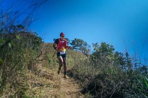 BIB: 
                            <button type="button" onclick="openModal(26613210)" class="btn btn-primary btn-sm float-right btn-popup" data-toggle="modal" data-target=".modal-high-quality">
                        <i class="fas fa-shopping-cart"></i> Add to Cart
                    </button>
                                            <button type="button" onclick="isThisMe(26613210, true)" class="btn btn-success btn-sm float-right btn-popup btn-isme hidden" data-toggle="tooltip" data-placement="bottom" title="นี่คือรูปของคุณใช่ไหม คลิกที่นี่เพื่อเอาเข้าอัลบั้ม">
                        <i class="fas fa-plus"></i> Add to album
                    </button>
                    <button type="button" onclick="isThisMe(26613210, false)" class="btn btn-warning btn-sm float-right btn-popup btn-isnotme hidden">
                        <i class="fas fa-ban"></i> Remove from album
                    </button>