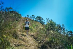 BIB: 
                            <button type="button" onclick="openModal(26620146)" class="btn btn-primary btn-sm float-right btn-popup" data-toggle="modal" data-target=".modal-high-quality">
                        <i class="fas fa-shopping-cart"></i> Add to Cart
                    </button>
                                            <button type="button" onclick="isThisMe(26620146, true)" class="btn btn-success btn-sm float-right btn-popup btn-isme hidden" data-toggle="tooltip" data-placement="bottom" title="นี่คือรูปของคุณใช่ไหม คลิกที่นี่เพื่อเอาเข้าอัลบั้ม">
                        <i class="fas fa-plus"></i> Add to album
                    </button>
                    <button type="button" onclick="isThisMe(26620146, false)" class="btn btn-warning btn-sm float-right btn-popup btn-isnotme hidden">
                        <i class="fas fa-ban"></i> Remove from album
                    </button>