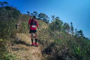 BIB: 
                            <button type="button" onclick="openModal(26615306)" class="btn btn-primary btn-sm float-right btn-popup" data-toggle="modal" data-target=".modal-high-quality">
                        <i class="fas fa-shopping-cart"></i> Add to Cart
                    </button>
                                            <button type="button" onclick="isThisMe(26615306, true)" class="btn btn-success btn-sm float-right btn-popup btn-isme hidden" data-toggle="tooltip" data-placement="bottom" title="นี่คือรูปของคุณใช่ไหม คลิกที่นี่เพื่อเอาเข้าอัลบั้ม">
                        <i class="fas fa-plus"></i> Add to album
                    </button>
                    <button type="button" onclick="isThisMe(26615306, false)" class="btn btn-warning btn-sm float-right btn-popup btn-isnotme hidden">
                        <i class="fas fa-ban"></i> Remove from album
                    </button>