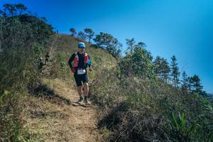 BIB: 
                            <button type="button" onclick="openModal(26614504)" class="btn btn-primary btn-sm float-right btn-popup" data-toggle="modal" data-target=".modal-high-quality">
                        <i class="fas fa-shopping-cart"></i> Add to Cart
                    </button>
                                            <button type="button" onclick="isThisMe(26614504, true)" class="btn btn-success btn-sm float-right btn-popup btn-isme hidden" data-toggle="tooltip" data-placement="bottom" title="นี่คือรูปของคุณใช่ไหม คลิกที่นี่เพื่อเอาเข้าอัลบั้ม">
                        <i class="fas fa-plus"></i> Add to album
                    </button>
                    <button type="button" onclick="isThisMe(26614504, false)" class="btn btn-warning btn-sm float-right btn-popup btn-isnotme hidden">
                        <i class="fas fa-ban"></i> Remove from album
                    </button>