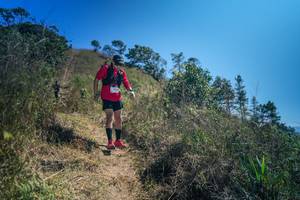 BIB: 
                            <button type="button" onclick="openModal(26615314)" class="btn btn-primary btn-sm float-right btn-popup" data-toggle="modal" data-target=".modal-high-quality">
                        <i class="fas fa-shopping-cart"></i> Add to Cart
                    </button>
                                            <button type="button" onclick="isThisMe(26615314, true)" class="btn btn-success btn-sm float-right btn-popup btn-isme hidden" data-toggle="tooltip" data-placement="bottom" title="นี่คือรูปของคุณใช่ไหม คลิกที่นี่เพื่อเอาเข้าอัลบั้ม">
                        <i class="fas fa-plus"></i> Add to album
                    </button>
                    <button type="button" onclick="isThisMe(26615314, false)" class="btn btn-warning btn-sm float-right btn-popup btn-isnotme hidden">
                        <i class="fas fa-ban"></i> Remove from album
                    </button>