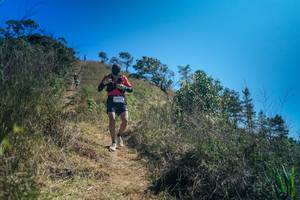 BIB: 
                            <button type="button" onclick="openModal(26613951)" class="btn btn-primary btn-sm float-right btn-popup" data-toggle="modal" data-target=".modal-high-quality">
                        <i class="fas fa-shopping-cart"></i> Add to Cart
                    </button>
                                            <button type="button" onclick="isThisMe(26613951, true)" class="btn btn-success btn-sm float-right btn-popup btn-isme hidden" data-toggle="tooltip" data-placement="bottom" title="นี่คือรูปของคุณใช่ไหม คลิกที่นี่เพื่อเอาเข้าอัลบั้ม">
                        <i class="fas fa-plus"></i> Add to album
                    </button>
                    <button type="button" onclick="isThisMe(26613951, false)" class="btn btn-warning btn-sm float-right btn-popup btn-isnotme hidden">
                        <i class="fas fa-ban"></i> Remove from album
                    </button>