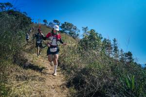 BIB: 
                            <button type="button" onclick="openModal(26613161)" class="btn btn-primary btn-sm float-right btn-popup" data-toggle="modal" data-target=".modal-high-quality">
                        <i class="fas fa-shopping-cart"></i> Add to Cart
                    </button>
                                            <button type="button" onclick="isThisMe(26613161, true)" class="btn btn-success btn-sm float-right btn-popup btn-isme hidden" data-toggle="tooltip" data-placement="bottom" title="นี่คือรูปของคุณใช่ไหม คลิกที่นี่เพื่อเอาเข้าอัลบั้ม">
                        <i class="fas fa-plus"></i> Add to album
                    </button>
                    <button type="button" onclick="isThisMe(26613161, false)" class="btn btn-warning btn-sm float-right btn-popup btn-isnotme hidden">
                        <i class="fas fa-ban"></i> Remove from album
                    </button>