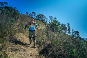 BIB: 
                            <button type="button" onclick="openModal(26614531)" class="btn btn-primary btn-sm float-right btn-popup" data-toggle="modal" data-target=".modal-high-quality">
                        <i class="fas fa-shopping-cart"></i> Add to Cart
                    </button>
                                            <button type="button" onclick="isThisMe(26614531, true)" class="btn btn-success btn-sm float-right btn-popup btn-isme hidden" data-toggle="tooltip" data-placement="bottom" title="นี่คือรูปของคุณใช่ไหม คลิกที่นี่เพื่อเอาเข้าอัลบั้ม">
                        <i class="fas fa-plus"></i> Add to album
                    </button>
                    <button type="button" onclick="isThisMe(26614531, false)" class="btn btn-warning btn-sm float-right btn-popup btn-isnotme hidden">
                        <i class="fas fa-ban"></i> Remove from album
                    </button>