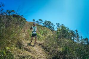 BIB: 
                            <button type="button" onclick="openModal(26620185)" class="btn btn-primary btn-sm float-right btn-popup" data-toggle="modal" data-target=".modal-high-quality">
                        <i class="fas fa-shopping-cart"></i> Add to Cart
                    </button>
                                            <button type="button" onclick="isThisMe(26620185, true)" class="btn btn-success btn-sm float-right btn-popup btn-isme hidden" data-toggle="tooltip" data-placement="bottom" title="นี่คือรูปของคุณใช่ไหม คลิกที่นี่เพื่อเอาเข้าอัลบั้ม">
                        <i class="fas fa-plus"></i> Add to album
                    </button>
                    <button type="button" onclick="isThisMe(26620185, false)" class="btn btn-warning btn-sm float-right btn-popup btn-isnotme hidden">
                        <i class="fas fa-ban"></i> Remove from album
                    </button>