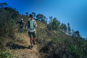 BIB: 
                            <button type="button" onclick="openModal(26615856)" class="btn btn-primary btn-sm float-right btn-popup" data-toggle="modal" data-target=".modal-high-quality">
                        <i class="fas fa-shopping-cart"></i> Add to Cart
                    </button>
                                            <button type="button" onclick="isThisMe(26615856, true)" class="btn btn-success btn-sm float-right btn-popup btn-isme hidden" data-toggle="tooltip" data-placement="bottom" title="นี่คือรูปของคุณใช่ไหม คลิกที่นี่เพื่อเอาเข้าอัลบั้ม">
                        <i class="fas fa-plus"></i> Add to album
                    </button>
                    <button type="button" onclick="isThisMe(26615856, false)" class="btn btn-warning btn-sm float-right btn-popup btn-isnotme hidden">
                        <i class="fas fa-ban"></i> Remove from album
                    </button>