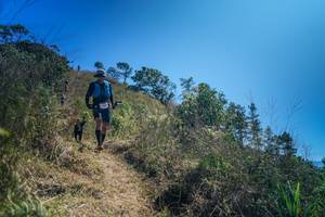 BIB: 
                            <button type="button" onclick="openModal(26616806)" class="btn btn-primary btn-sm float-right btn-popup" data-toggle="modal" data-target=".modal-high-quality">
                        <i class="fas fa-shopping-cart"></i> Add to Cart
                    </button>
                                            <button type="button" onclick="isThisMe(26616806, true)" class="btn btn-success btn-sm float-right btn-popup btn-isme hidden" data-toggle="tooltip" data-placement="bottom" title="นี่คือรูปของคุณใช่ไหม คลิกที่นี่เพื่อเอาเข้าอัลบั้ม">
                        <i class="fas fa-plus"></i> Add to album
                    </button>
                    <button type="button" onclick="isThisMe(26616806, false)" class="btn btn-warning btn-sm float-right btn-popup btn-isnotme hidden">
                        <i class="fas fa-ban"></i> Remove from album
                    </button>