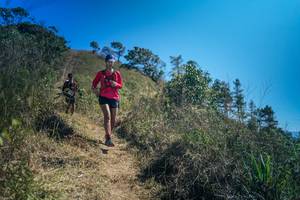 BIB: 
                            <button type="button" onclick="openModal(26614248)" class="btn btn-primary btn-sm float-right btn-popup" data-toggle="modal" data-target=".modal-high-quality">
                        <i class="fas fa-shopping-cart"></i> Add to Cart
                    </button>
                                            <button type="button" onclick="isThisMe(26614248, true)" class="btn btn-success btn-sm float-right btn-popup btn-isme hidden" data-toggle="tooltip" data-placement="bottom" title="นี่คือรูปของคุณใช่ไหม คลิกที่นี่เพื่อเอาเข้าอัลบั้ม">
                        <i class="fas fa-plus"></i> Add to album
                    </button>
                    <button type="button" onclick="isThisMe(26614248, false)" class="btn btn-warning btn-sm float-right btn-popup btn-isnotme hidden">
                        <i class="fas fa-ban"></i> Remove from album
                    </button>