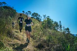 BIB: 
                            <button type="button" onclick="openModal(26620570)" class="btn btn-primary btn-sm float-right btn-popup" data-toggle="modal" data-target=".modal-high-quality">
                        <i class="fas fa-shopping-cart"></i> Add to Cart
                    </button>
                                            <button type="button" onclick="isThisMe(26620570, true)" class="btn btn-success btn-sm float-right btn-popup btn-isme hidden" data-toggle="tooltip" data-placement="bottom" title="นี่คือรูปของคุณใช่ไหม คลิกที่นี่เพื่อเอาเข้าอัลบั้ม">
                        <i class="fas fa-plus"></i> Add to album
                    </button>
                    <button type="button" onclick="isThisMe(26620570, false)" class="btn btn-warning btn-sm float-right btn-popup btn-isnotme hidden">
                        <i class="fas fa-ban"></i> Remove from album
                    </button>