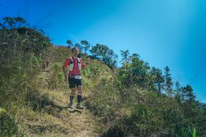 BIB: 
                            <button type="button" onclick="openModal(26619443)" class="btn btn-primary btn-sm float-right btn-popup" data-toggle="modal" data-target=".modal-high-quality">
                        <i class="fas fa-shopping-cart"></i> Add to Cart
                    </button>
                                            <button type="button" onclick="isThisMe(26619443, true)" class="btn btn-success btn-sm float-right btn-popup btn-isme hidden" data-toggle="tooltip" data-placement="bottom" title="นี่คือรูปของคุณใช่ไหม คลิกที่นี่เพื่อเอาเข้าอัลบั้ม">
                        <i class="fas fa-plus"></i> Add to album
                    </button>
                    <button type="button" onclick="isThisMe(26619443, false)" class="btn btn-warning btn-sm float-right btn-popup btn-isnotme hidden">
                        <i class="fas fa-ban"></i> Remove from album
                    </button>