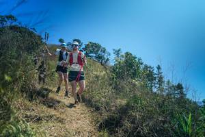 BIB: 
                            <button type="button" onclick="openModal(26617020)" class="btn btn-primary btn-sm float-right btn-popup" data-toggle="modal" data-target=".modal-high-quality">
                        <i class="fas fa-shopping-cart"></i> Add to Cart
                    </button>
                                            <button type="button" onclick="isThisMe(26617020, true)" class="btn btn-success btn-sm float-right btn-popup btn-isme hidden" data-toggle="tooltip" data-placement="bottom" title="นี่คือรูปของคุณใช่ไหม คลิกที่นี่เพื่อเอาเข้าอัลบั้ม">
                        <i class="fas fa-plus"></i> Add to album
                    </button>
                    <button type="button" onclick="isThisMe(26617020, false)" class="btn btn-warning btn-sm float-right btn-popup btn-isnotme hidden">
                        <i class="fas fa-ban"></i> Remove from album
                    </button>