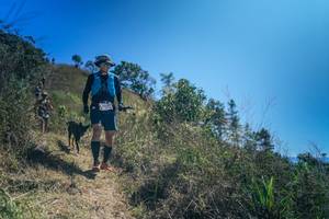 BIB: 
                            <button type="button" onclick="openModal(26616789)" class="btn btn-primary btn-sm float-right btn-popup" data-toggle="modal" data-target=".modal-high-quality">
                        <i class="fas fa-shopping-cart"></i> Add to Cart
                    </button>
                                            <button type="button" onclick="isThisMe(26616789, true)" class="btn btn-success btn-sm float-right btn-popup btn-isme hidden" data-toggle="tooltip" data-placement="bottom" title="นี่คือรูปของคุณใช่ไหม คลิกที่นี่เพื่อเอาเข้าอัลบั้ม">
                        <i class="fas fa-plus"></i> Add to album
                    </button>
                    <button type="button" onclick="isThisMe(26616789, false)" class="btn btn-warning btn-sm float-right btn-popup btn-isnotme hidden">
                        <i class="fas fa-ban"></i> Remove from album
                    </button>