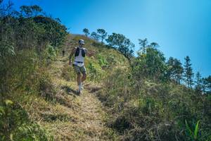 BIB: 
                            <button type="button" onclick="openModal(26620767)" class="btn btn-primary btn-sm float-right btn-popup" data-toggle="modal" data-target=".modal-high-quality">
                        <i class="fas fa-shopping-cart"></i> Add to Cart
                    </button>
                                            <button type="button" onclick="isThisMe(26620767, true)" class="btn btn-success btn-sm float-right btn-popup btn-isme hidden" data-toggle="tooltip" data-placement="bottom" title="นี่คือรูปของคุณใช่ไหม คลิกที่นี่เพื่อเอาเข้าอัลบั้ม">
                        <i class="fas fa-plus"></i> Add to album
                    </button>
                    <button type="button" onclick="isThisMe(26620767, false)" class="btn btn-warning btn-sm float-right btn-popup btn-isnotme hidden">
                        <i class="fas fa-ban"></i> Remove from album
                    </button>