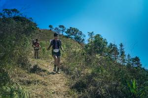 BIB: 
                            <button type="button" onclick="openModal(26618729)" class="btn btn-primary btn-sm float-right btn-popup" data-toggle="modal" data-target=".modal-high-quality">
                        <i class="fas fa-shopping-cart"></i> Add to Cart
                    </button>
                                            <button type="button" onclick="isThisMe(26618729, true)" class="btn btn-success btn-sm float-right btn-popup btn-isme hidden" data-toggle="tooltip" data-placement="bottom" title="นี่คือรูปของคุณใช่ไหม คลิกที่นี่เพื่อเอาเข้าอัลบั้ม">
                        <i class="fas fa-plus"></i> Add to album
                    </button>
                    <button type="button" onclick="isThisMe(26618729, false)" class="btn btn-warning btn-sm float-right btn-popup btn-isnotme hidden">
                        <i class="fas fa-ban"></i> Remove from album
                    </button>