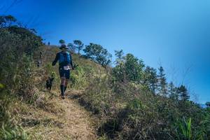 BIB: 
                            <button type="button" onclick="openModal(26616799)" class="btn btn-primary btn-sm float-right btn-popup" data-toggle="modal" data-target=".modal-high-quality">
                        <i class="fas fa-shopping-cart"></i> Add to Cart
                    </button>
                                            <button type="button" onclick="isThisMe(26616799, true)" class="btn btn-success btn-sm float-right btn-popup btn-isme hidden" data-toggle="tooltip" data-placement="bottom" title="นี่คือรูปของคุณใช่ไหม คลิกที่นี่เพื่อเอาเข้าอัลบั้ม">
                        <i class="fas fa-plus"></i> Add to album
                    </button>
                    <button type="button" onclick="isThisMe(26616799, false)" class="btn btn-warning btn-sm float-right btn-popup btn-isnotme hidden">
                        <i class="fas fa-ban"></i> Remove from album
                    </button>