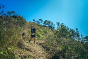 BIB: 
                            <button type="button" onclick="openModal(26620121)" class="btn btn-primary btn-sm float-right btn-popup" data-toggle="modal" data-target=".modal-high-quality">
                        <i class="fas fa-shopping-cart"></i> Add to Cart
                    </button>
                                            <button type="button" onclick="isThisMe(26620121, true)" class="btn btn-success btn-sm float-right btn-popup btn-isme hidden" data-toggle="tooltip" data-placement="bottom" title="นี่คือรูปของคุณใช่ไหม คลิกที่นี่เพื่อเอาเข้าอัลบั้ม">
                        <i class="fas fa-plus"></i> Add to album
                    </button>
                    <button type="button" onclick="isThisMe(26620121, false)" class="btn btn-warning btn-sm float-right btn-popup btn-isnotme hidden">
                        <i class="fas fa-ban"></i> Remove from album
                    </button>