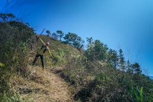 BIB: 
                            <button type="button" onclick="openModal(26616745)" class="btn btn-primary btn-sm float-right btn-popup" data-toggle="modal" data-target=".modal-high-quality">
                        <i class="fas fa-shopping-cart"></i> Add to Cart
                    </button>
                                            <button type="button" onclick="isThisMe(26616745, true)" class="btn btn-success btn-sm float-right btn-popup btn-isme hidden" data-toggle="tooltip" data-placement="bottom" title="นี่คือรูปของคุณใช่ไหม คลิกที่นี่เพื่อเอาเข้าอัลบั้ม">
                        <i class="fas fa-plus"></i> Add to album
                    </button>
                    <button type="button" onclick="isThisMe(26616745, false)" class="btn btn-warning btn-sm float-right btn-popup btn-isnotme hidden">
                        <i class="fas fa-ban"></i> Remove from album
                    </button>